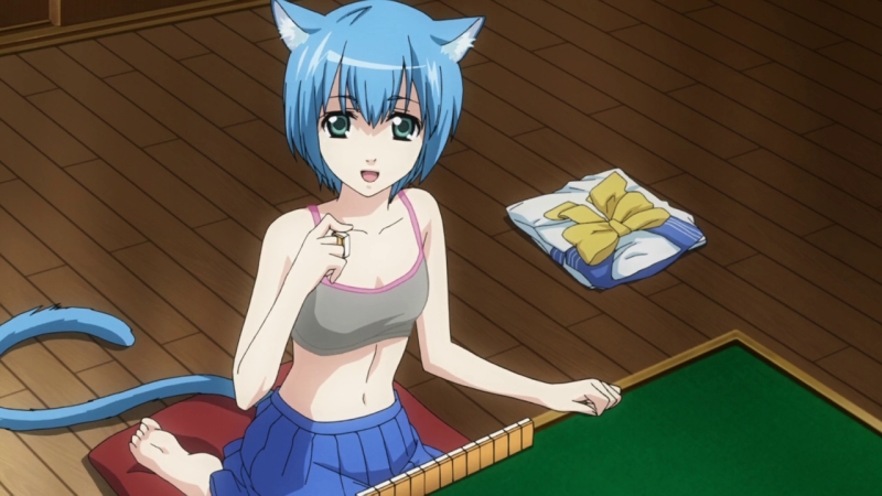 Anime like cat planet cuties