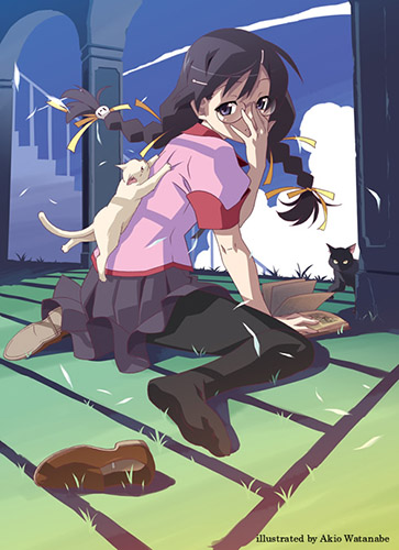   / Bakemonogatari [TV][1-15  15][RUS,JAP+SUB][2009 ., , , , 6xDVD5][]