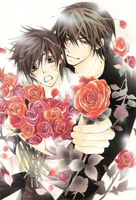 Лучшая в мире первая любовь / Sekaiichi Hatsukoi OVA