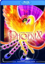- [] / Phoenix