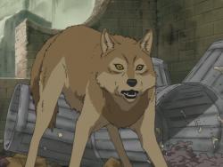   [] / Wolf's Rain TV