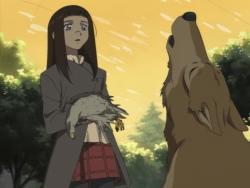   [] / Wolf's Rain TV