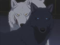   [] / Wolf's Rain TV