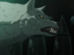   [] / Wolf's Rain TV