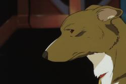   / Cowboy Bebop