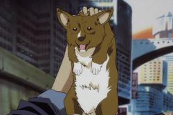   / Cowboy Bebop