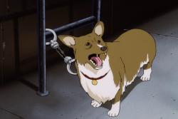   / Cowboy Bebop