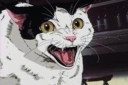   / Cowboy Bebop