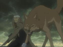   OVA / Wolf's Rain OVA