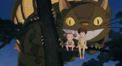    / My Neighbor Totoro