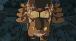    / My Neighbor Totoro