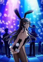       -! / Rascal Does Not Dream of Bunny Girl Senpai