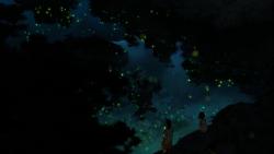  :    / Rainbow Fireflies