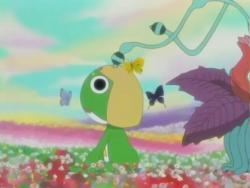   [] / Sgt. Frog