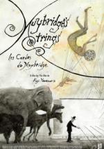  / Muybridge's Strings
