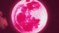  / Rosario + Vampire
