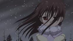 - ( ) / Vampire Knight