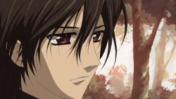 - ( ) / Vampire Knight