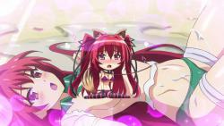  / The Testament of Sister New Devil Burst