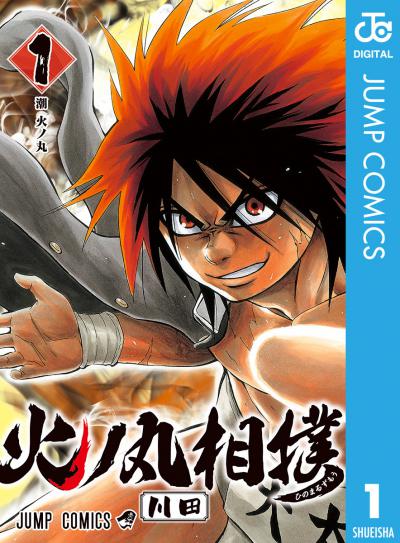   / Hinomaru Sumo