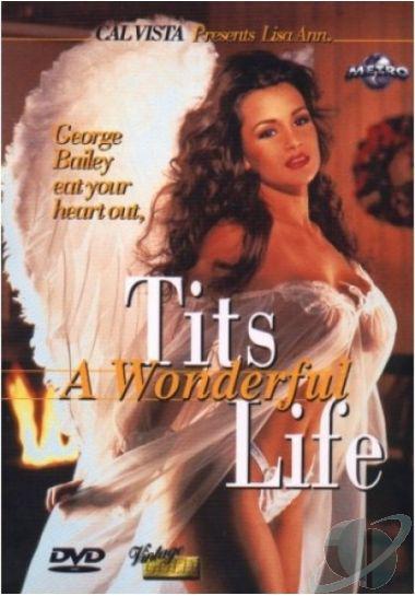 Сиськи прекрасной жизни (1994, постер фильма)