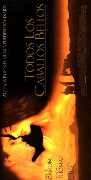   (2000,  )