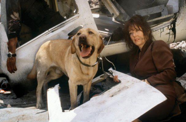 Фотографии: Мэри МакДоннелл [Mary McDonnell]