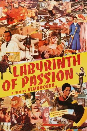 Лабиринт страстей (1982, постер фильма)
