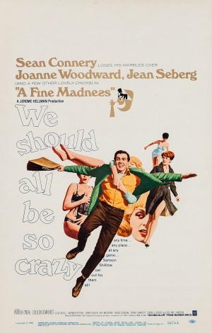 Прекрасное безумие (1966, постер фильма)