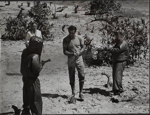 Доктор но фильм 1962 кадры из фильма Кадр #112457 из фильма "Доктор Но" (Великобритания, 1962)