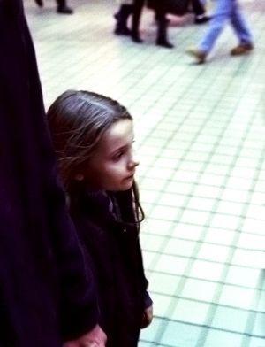    (2004,  )