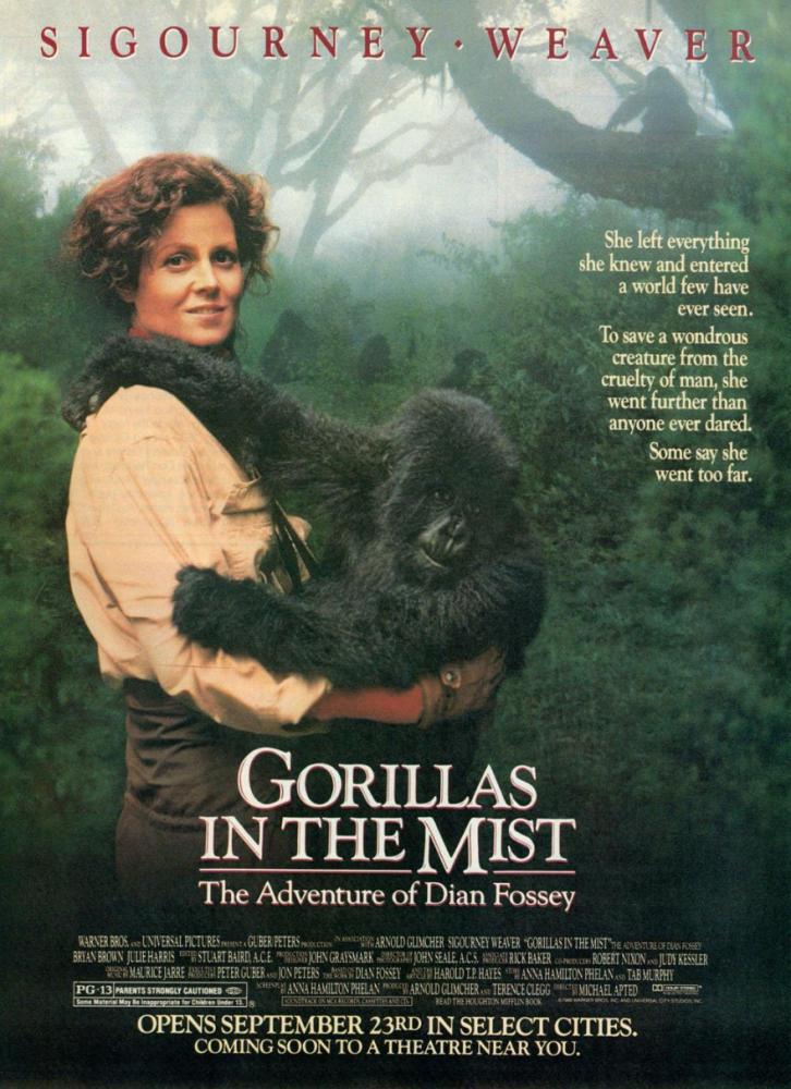    (1988,  )