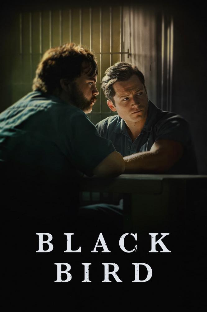 Чёрная птица (2022, постер фильма)
