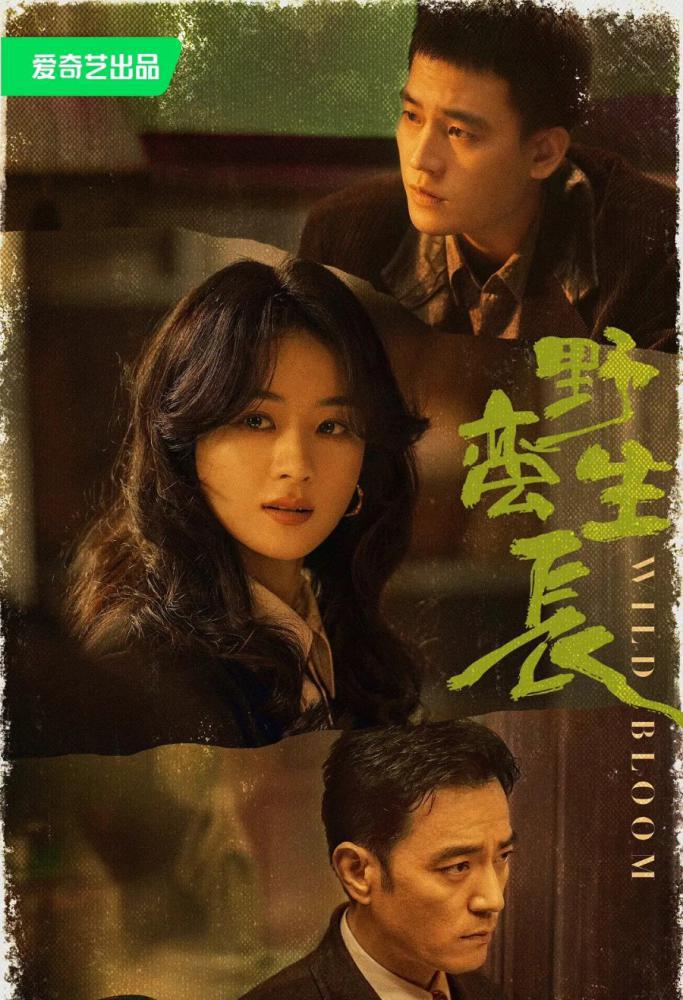 ����� ������ (2022, ������ ������)