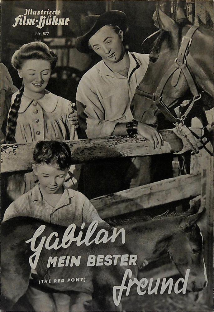   (1949,  )