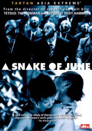 Июньский змей (2002, постер фильма)