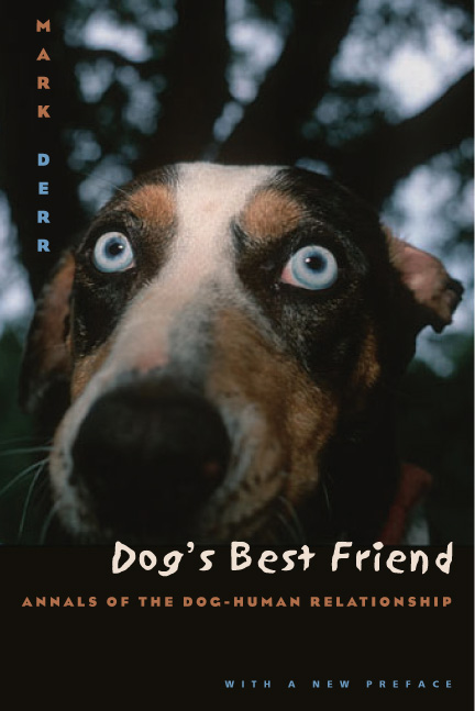 Лучший друг собак (2005, постер фильма)