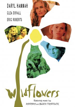 Дикие цветы (1999, постер фильма)