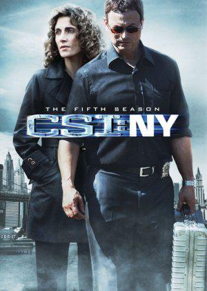 Место преступления: Нью-Йорк (2004, постер фильма)