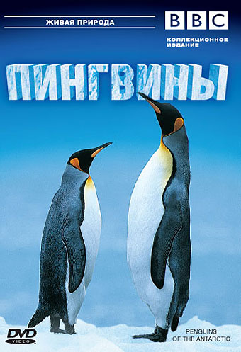 Пингвины (2006, постер фильма)