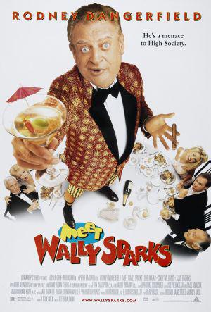 Познакомьтесь с Уолли Спарксом (1997, постер фильма)