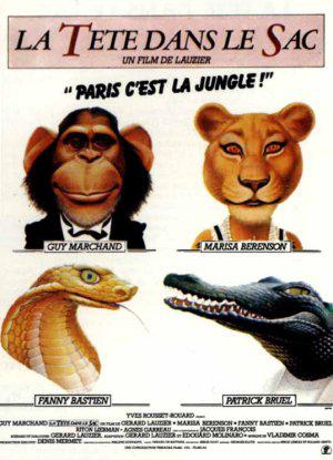  (1984,  )