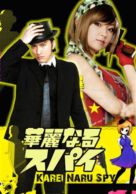 Великолепный шпион (2009, постер фильма)