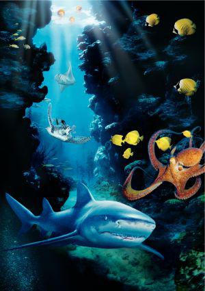Тайны подводного мира 3D (2006, постер фильма)