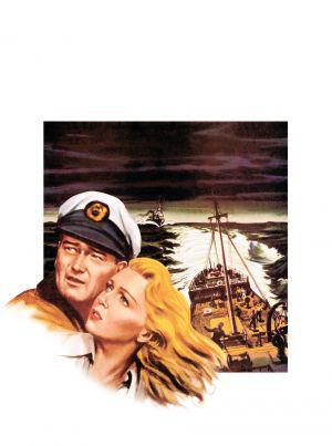   (1955,  )