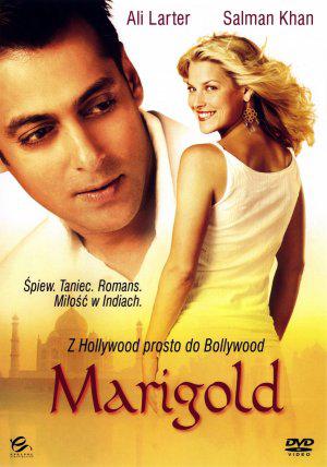 Мариголд: Путешествие в Индию (2007, постер фильма)