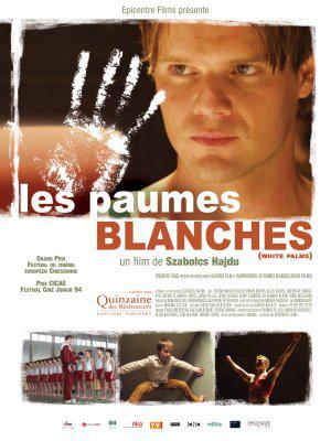   (2006,  )