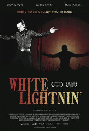 Просветления Уайта (2009, постер фильма)