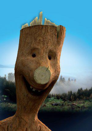 ������� (2009, ������ ������)