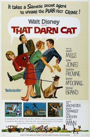 Эта дикая кошка (1965, постер фильма)
